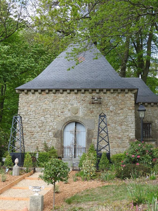 Chateau De Montbrault Fleurigné Εξωτερικό φωτογραφία
